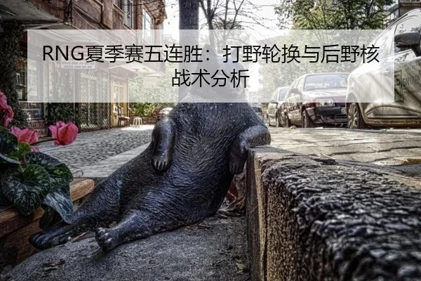 RNG夏季赛五连胜：打野轮换与后野核战术分析