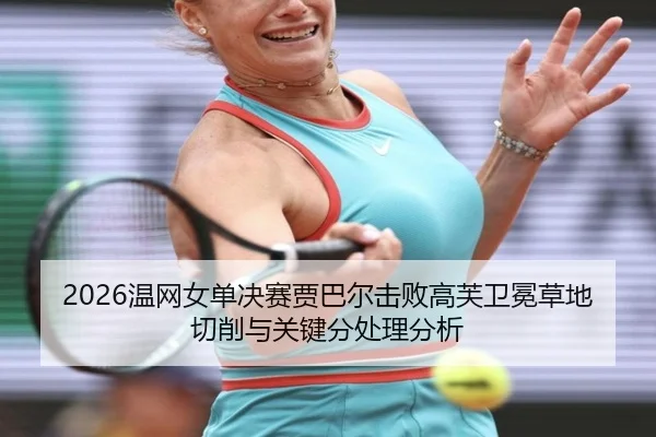 wen-wang-nv-dan-jue-sai-jia-ba-er-ji-bai-gao-fu-wei-mian-cao-di-qie-xiao-yu-guan-jian-fen-chu-li-fen-xi-2-351.jpg